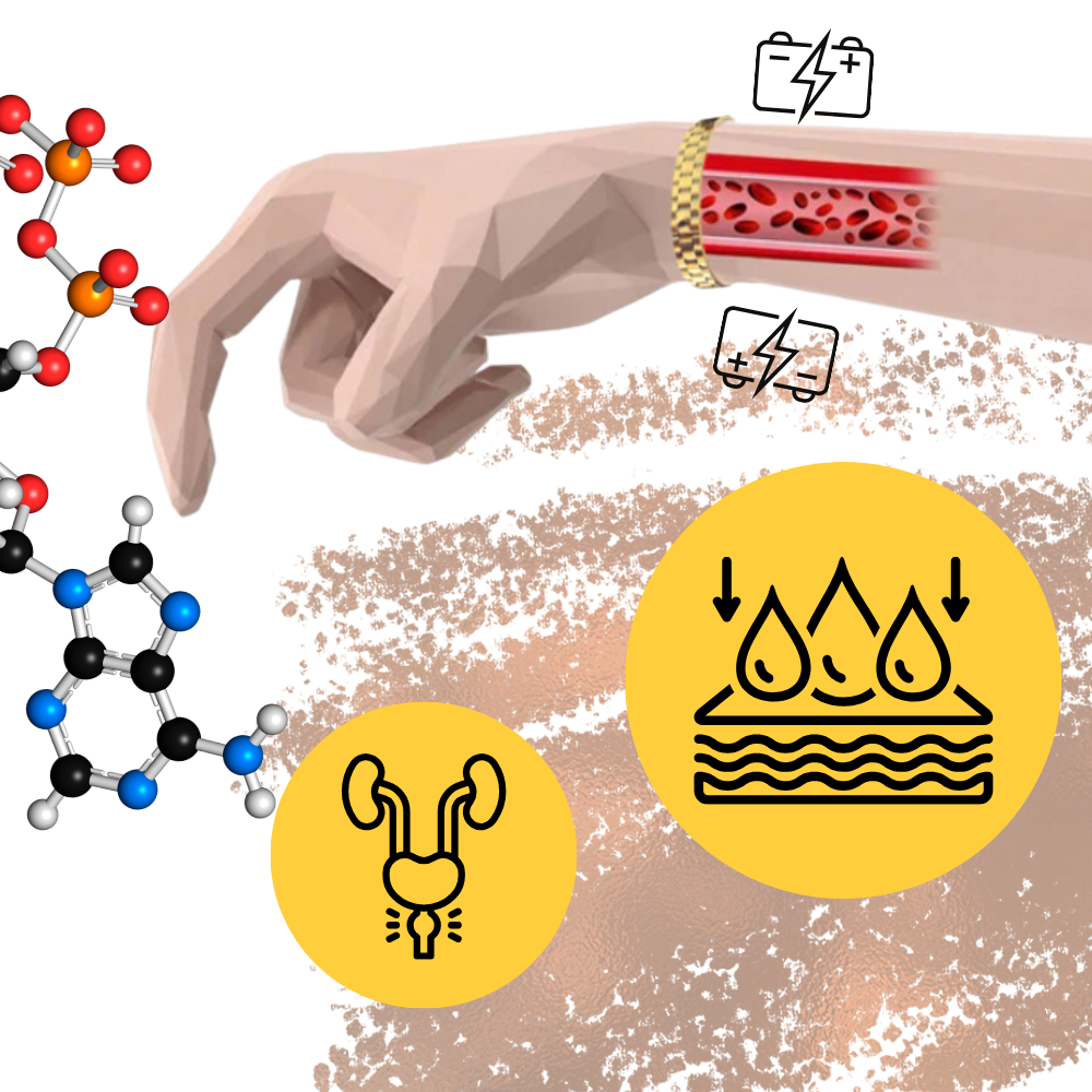 Copper Magnetic Therapy Bracelet - Ozerty