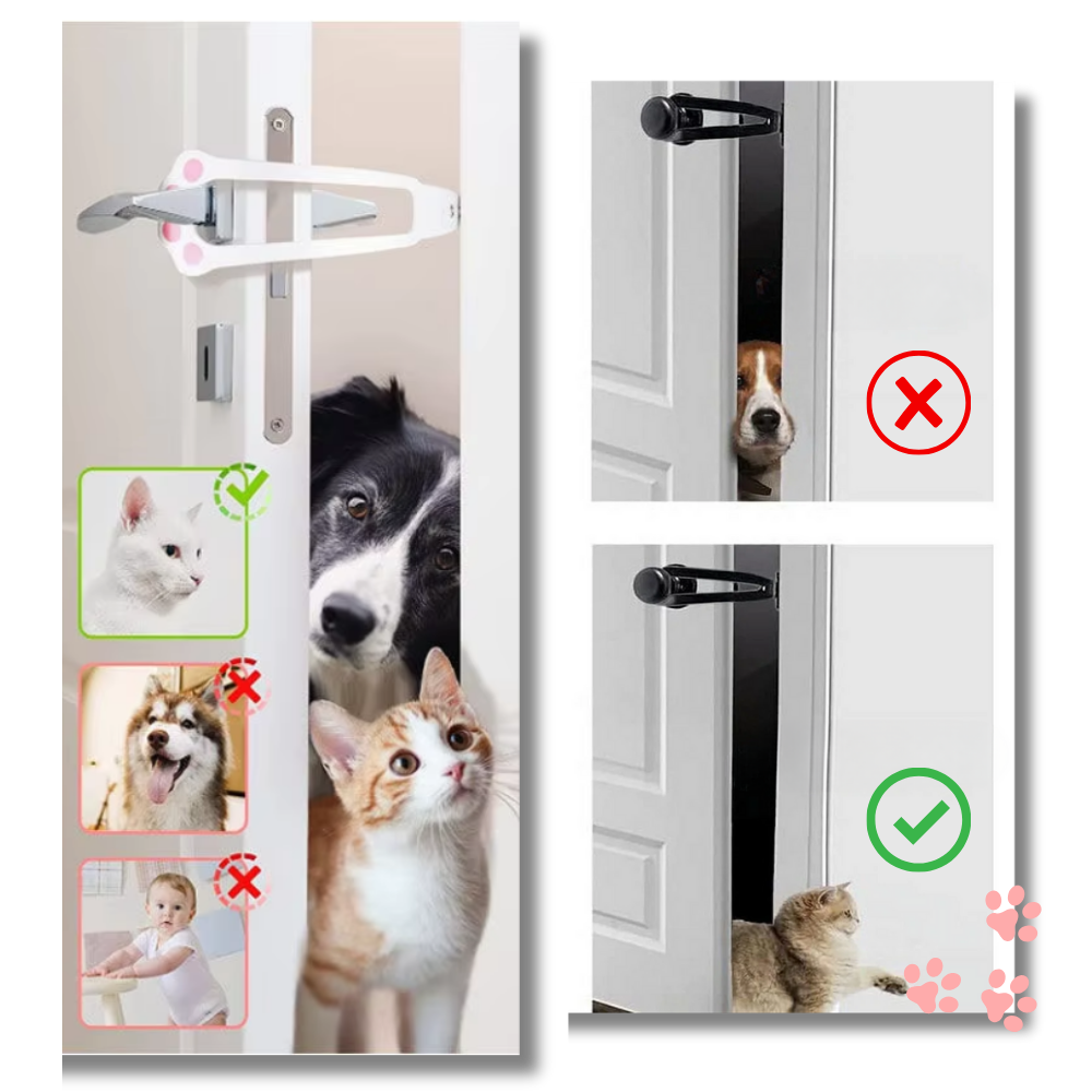 Innovative Door Latch For Cats - Ozerty