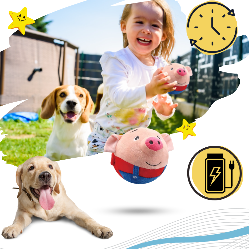 Paw Bounce Sensor Toy - Ozerty